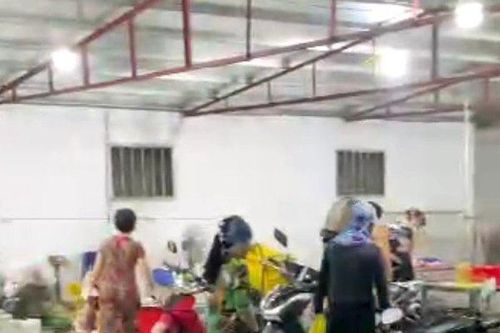 Hải Phòng: Sớm đóng cửa cơ sở giết mổ lợn gây ô nhiễm