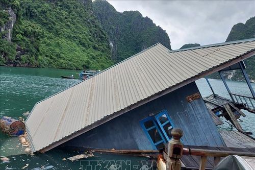 Khu Bảo tồn lớp học làng chài trên Vịnh Hạ Long bị chìm do xuống cấp