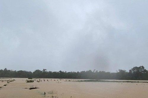 Hà Tĩnh: Cứu 2 người dân thoát chết trên sông trong mưa lũ
