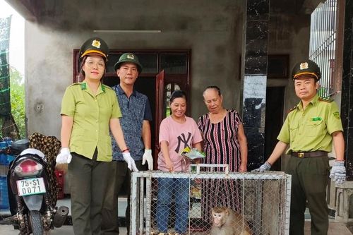 Hương Thủy: Nhiều động vật hoang dã được thả về môi trường tự nhiên