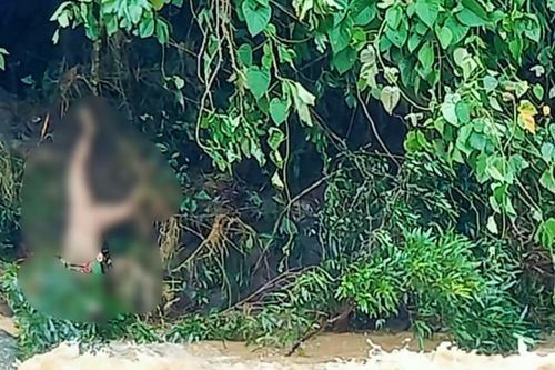 Sạt lở đất bất ngờ ở Sơn La, 3 người mất tích