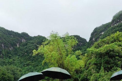 Kỹ năng truyền thông về di sản trong thời đại công nghệ số
