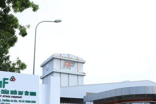 Lãnh đạo cấp cao liên tục biến động, BAF kinh doanh kém khả quan