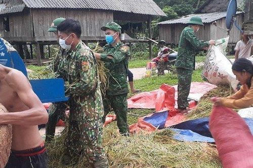 Cánh đồng lúa vùng biên giới thấm đẫm tình quân dân