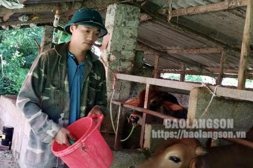 Chi hội trưởng Chi hội nghề nghiệp gương mẫu phát triển kinh tế