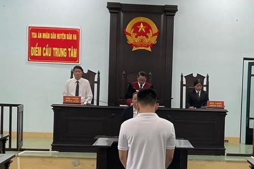 Chưa kịp 'lên tiên'