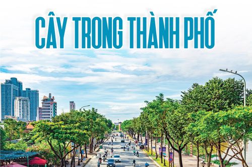 Xanh hơn những con đường