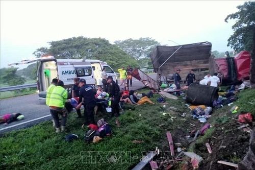 Mexico: Lật xe chở người di cư, 10 người thiệt mạng