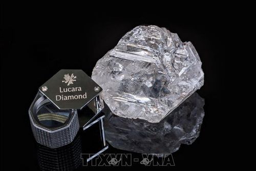 Giá kim cương thô 'lao dốc' sau đại dịch COVID-19