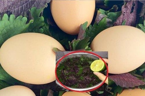 Được ví là 'lá hồi sinh' mọc dại ở Việt Nam, bên Nhật đếm lá tính tiền