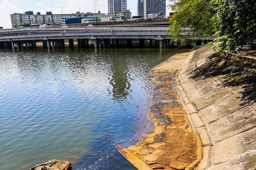 Hà Nội: Dầu thải nổi váng phủ mặt hồ Linh Đàm