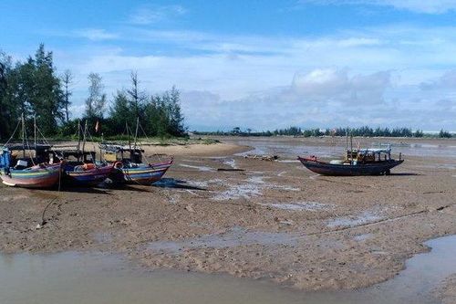 Cảng cá bồi lắng, tàu thuyền không có chỗ cập bến