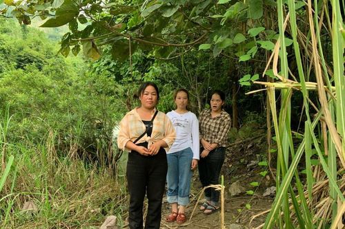 Bắt giữ 3 đối tượng nhập cảnh trái phép vào Việt Nam