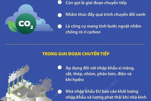 Cơ chế điều chỉnh carbon giai đoạn 1 của EU