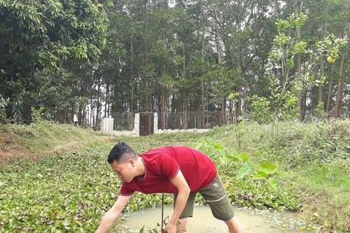 Bỏ phố về quê, thu nhập giảm một nửa vẫn tiết kiệm được cả trăm triệu đồng/năm