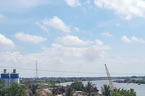 Hải Phòng: Sớm xử lý dứt điểm vi phạm đê điều tại huyện Vĩnh Bảo