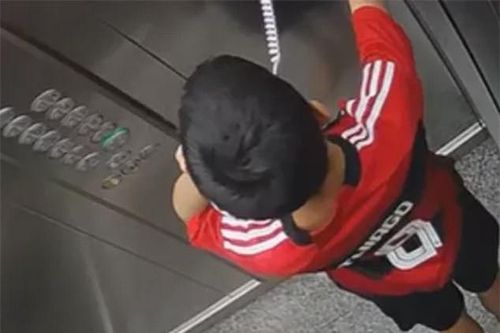 Chó cưng bị dây xích siết cổ trong thang máy, bé trai có hành động nhanh trí cứu sống con vật
