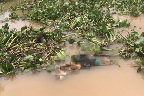 Công an Đồng Tháp tìm tung tích thanh niên nghi bị sát hại thả trôi sông
