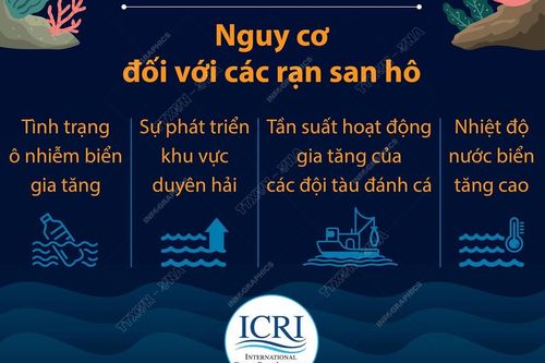 Giảm phát thải để bảo vệ các rạn san hô trên thế giới