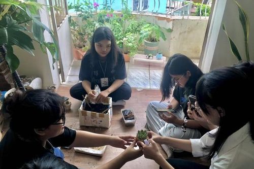 Dự án 'Nhà nhiều lá': Lan tỏa nhiều giá trị tích cực đến cộng đồng