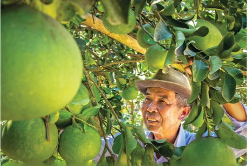 Tư duy kinh tế nông nghiệp là xu hướng tất yếu