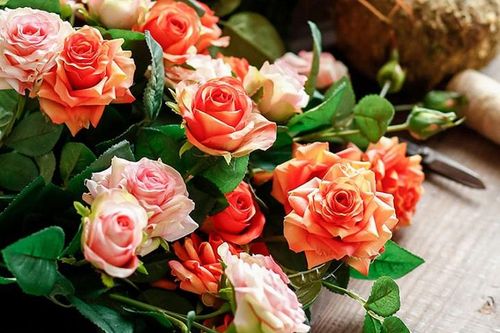 Chỉ còn tình người mãi đọng