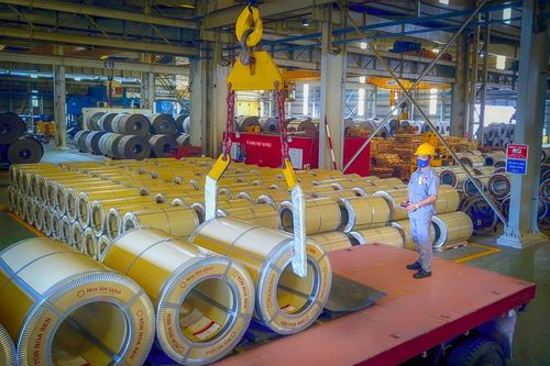 Em rể ông Lê Phước Vũ thoái toàn bộ vốn tại Hoa Sen