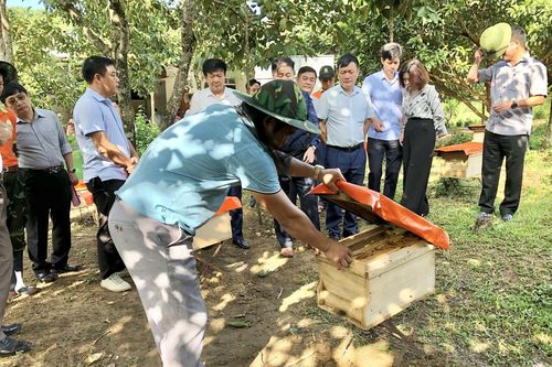 Ứng dụng nông nghiệp tuần hoàn trong phát triển kinh tế VAC