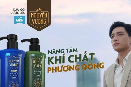Nhu cầu chăm sóc tóc tăng cao, nam giới cần nhiều hơn một loại dầu gội làm sạch