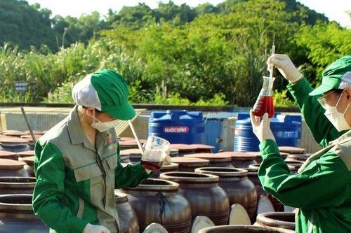 Hải Phòng: Cấp giấy chứng nhận 'Sản xuất tại Cát Hải' cho 29 loại mắm