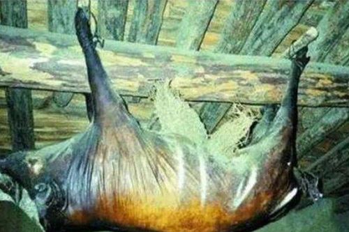 Có gì trong con lợn muối 53 năm, được trả giá 2 tỷ chủ vẫn không bán?