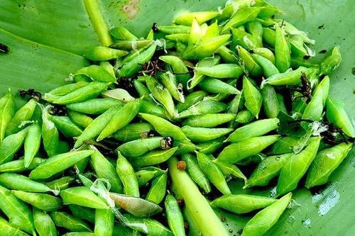 Lộc trời ẩn mình dưới lá muồng, xưa ai cũng sợ không dám ăn, giờ là đặc sản nổi tiếng cả vùng với giá 200.000 đồng/kg