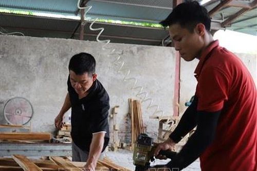 Nông dân 'phất lên' nhờ áp dụng tiêu chuẩn quốc tế