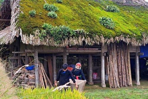 Những mái nhà rêu có một không hai tại bản người Dao bên sườn Tây Côn Lĩnh