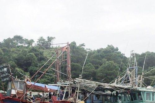 Quảng Ninh: Bắt giữ 5 tàu khai thác thủy sản trái phép