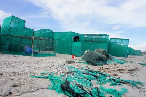 Xã Cam Lập: Rác thải tràn ngập khu vực biển Tàu Bể