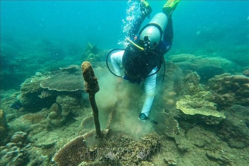 Côn Đảo tiên phong trong việc ứng dụng mô hình kinh tế tuần hoàn