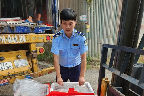 Phát hiện trên 4,5 tấn cá khoai dương tính với chất foocmon tại Thanh Hóa