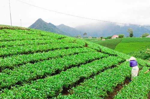 'Chìa khóa' cho phát triển nông nghiệp bền vững