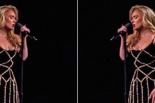 Adele hút hồn cùng chiếc váy cần 10 người với 200 giờ làm để hoàn thiện