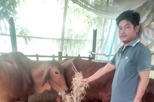 Tạo động lực cho đoàn viên, thanh niên tự tin khởi nghiệp, lập nghiệp