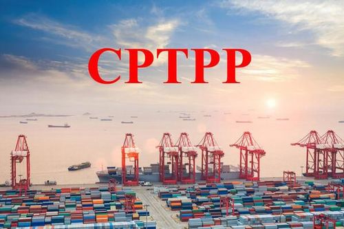 Kinh tế Việt Nam thay đổi ra sao sau hơn 3 năm thực thi CPTPP?
