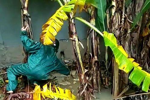 Nguy hiểm: Xuất hiện hố sụt lún rộng khoảng 5m cạnh nhà dân sau mưa lớn
