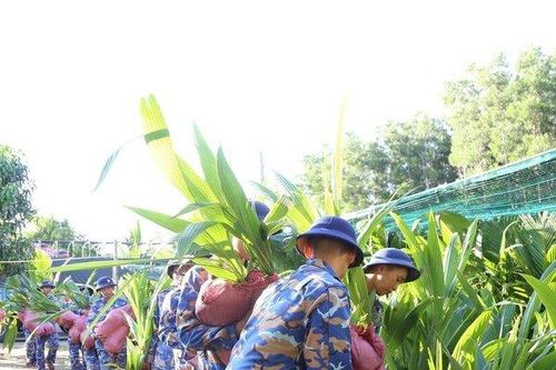 2.000 cây dừa giống được trao tặng cho huyện đảo Trường Sa