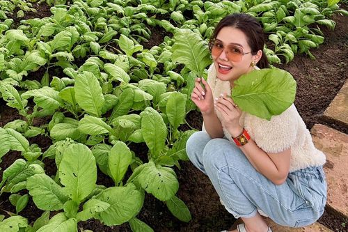 Diễn viên Phanh Lee cùng con trải nghiệm cuộc sống nông thôn