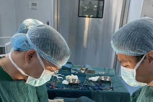 Bệnh viện 22-12: Nội soi lấy ra 113 viên sỏi túi mật cho bệnh nhân