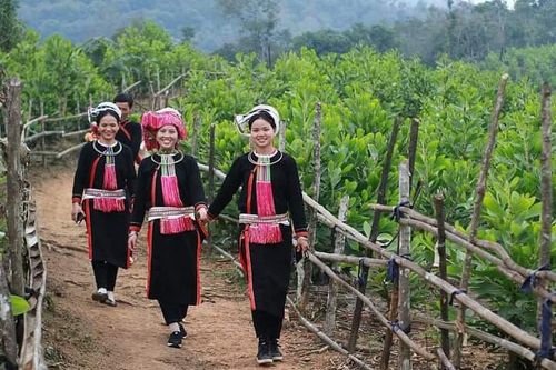 Bảo tồn trang phục dân tộc Sán Chỉ (Pác Nặm) gắn với phát triển du lịch