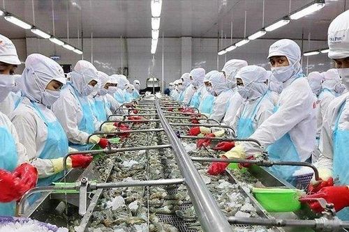 Lãi sau thuế quý III của Thủy sản Nam Việt giảm 99% so với cùng kỳ