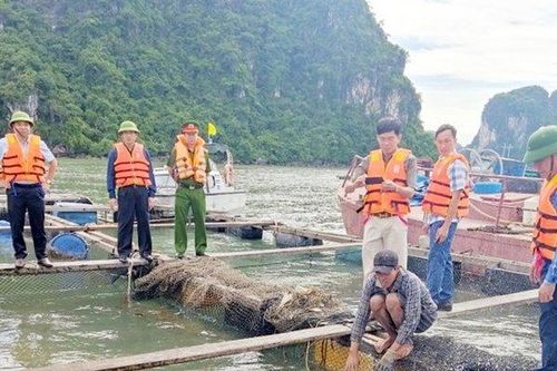 Quảng Ninh: Thay thế gần 7 triệu phao xốp trong nuôi trồng thủy sản