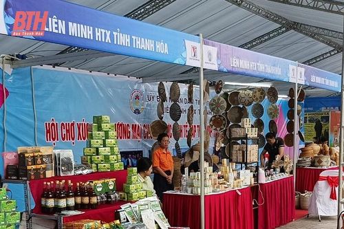 20 sản phẩm tiêu biểu của Thanh Hóa trưng bày tại Hội chợ Xúc tiến thương mại Kinh tế tập thể, HTX khu vực phía Bắc năm 2023